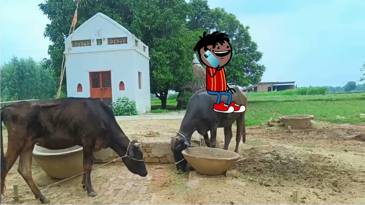 कलुवा की बदमासी। GONDA CARTOON