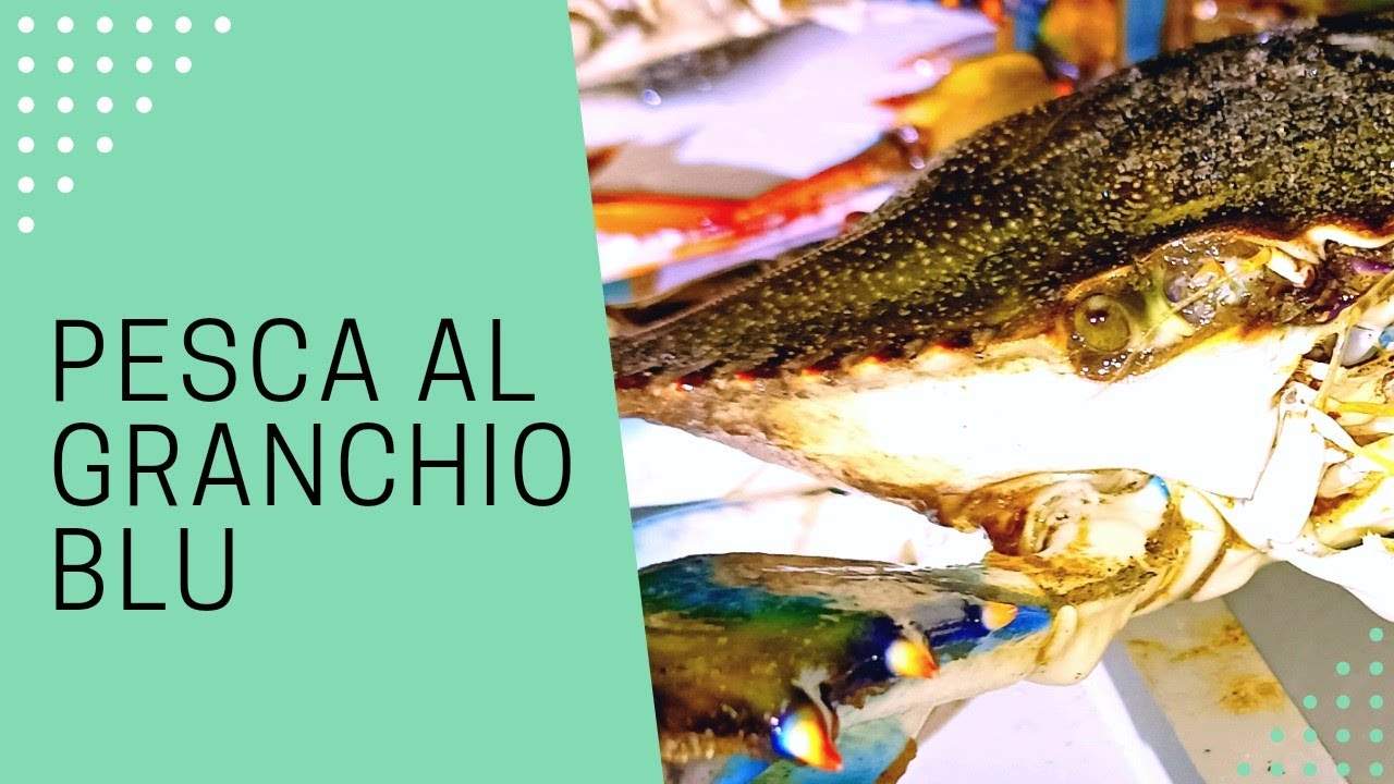 PESCA DEI GRANCHI BLU IN MODO DIVERTENTE