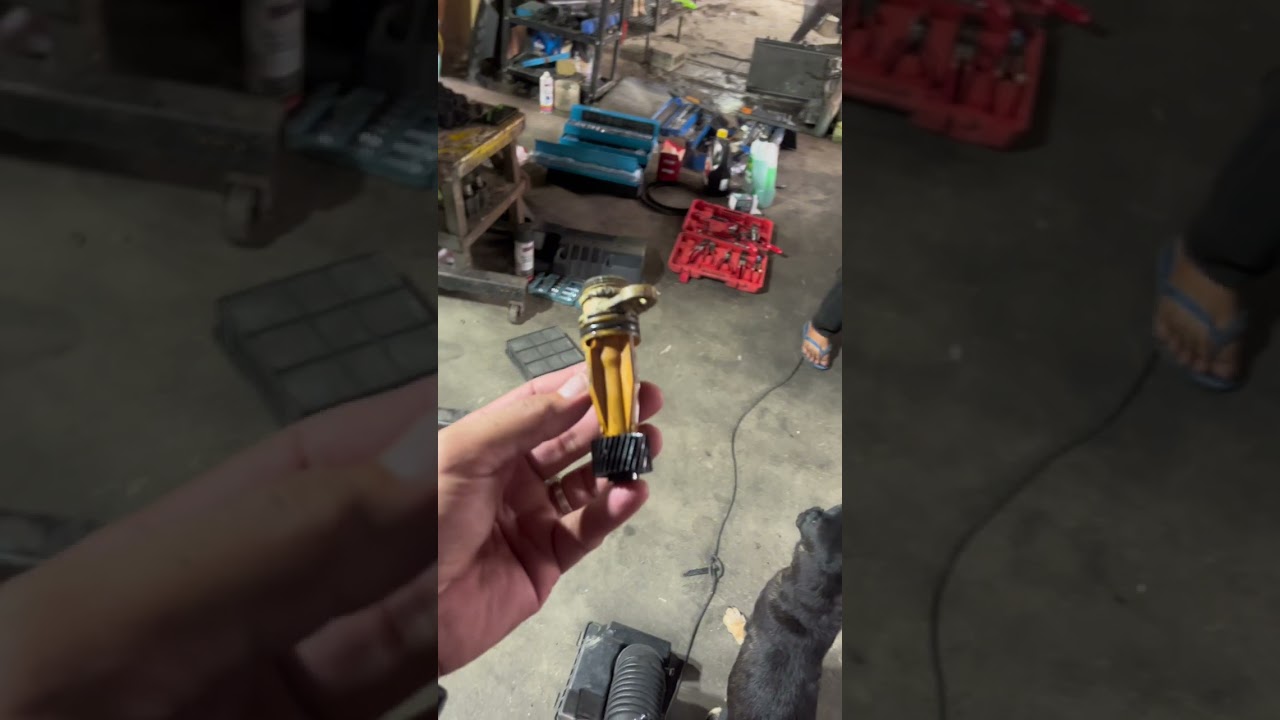 Napalaban sa Isang Lancer Itlog na nabili na Buy and Sell
