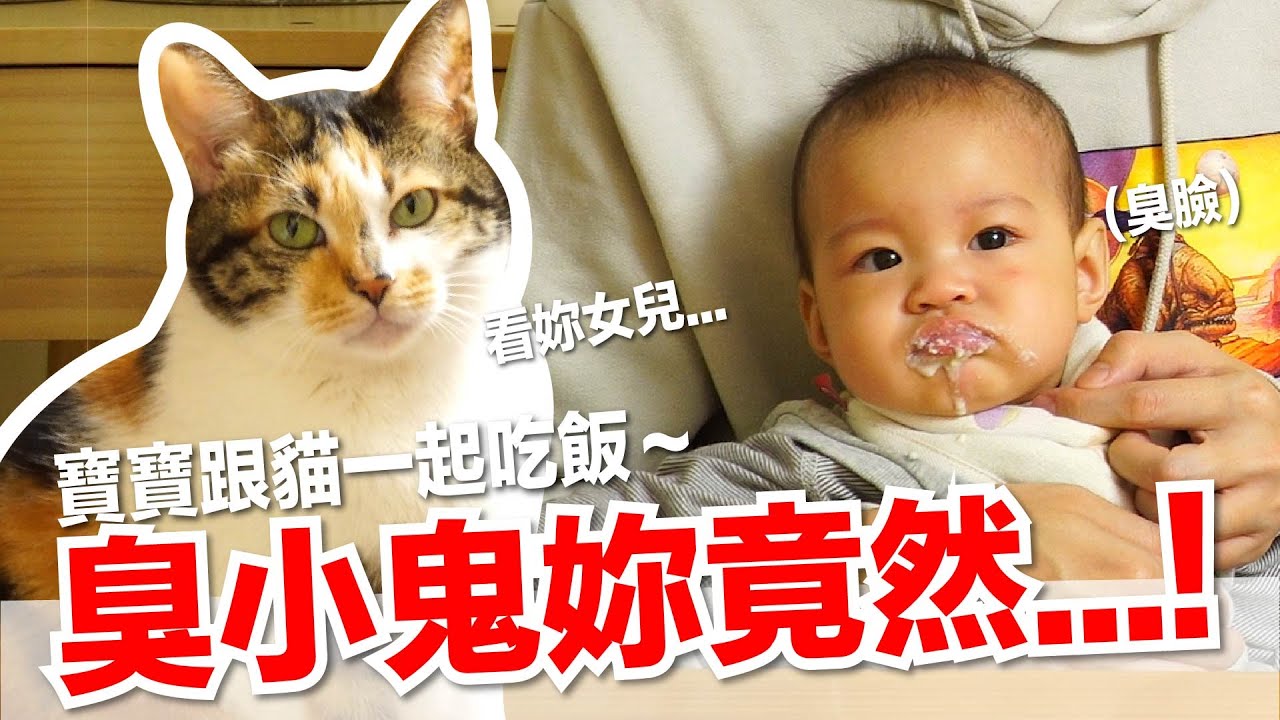 【好味小姐】寶寶跟貓一起吃飯～你這臭小鬼竟然！｜貓副食｜貓鮮食廚房EP205