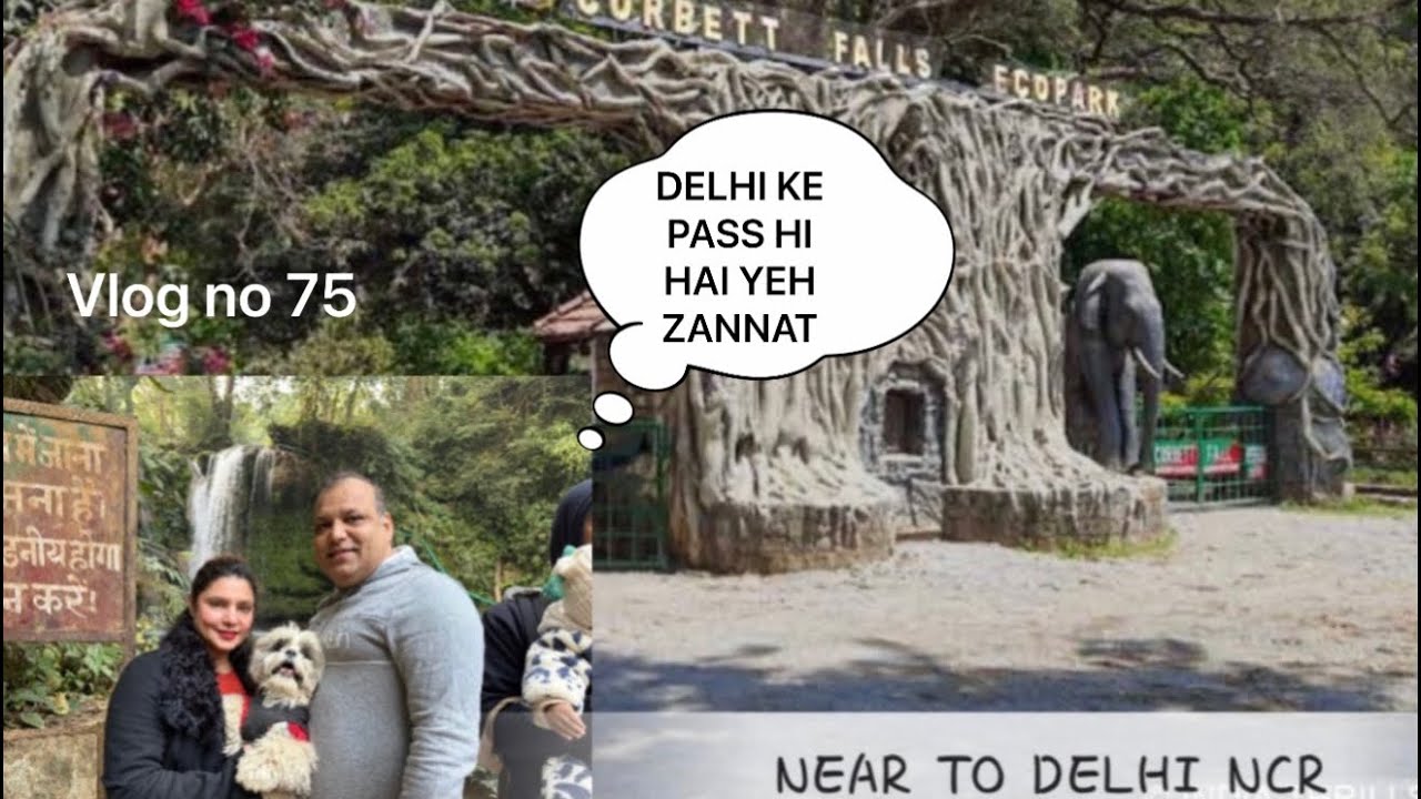Corbett Fall Ramnagar Uttarakhand | Waterfalls in Uttarakhand | #falls #corbett #uttarakhand
