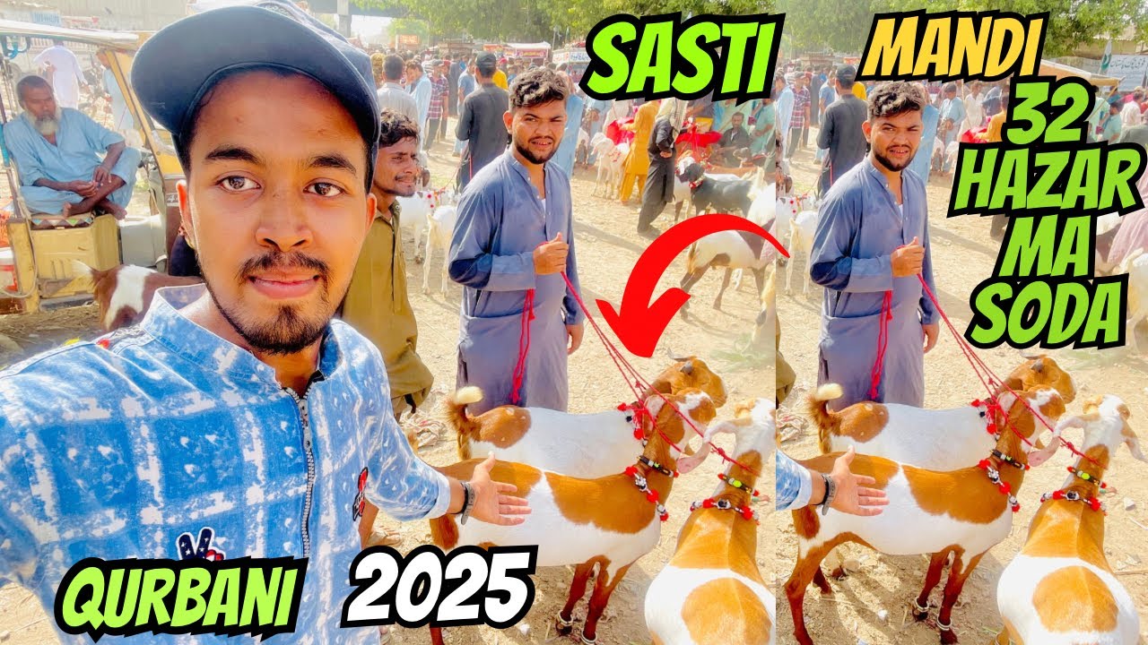 Lalukhet Bakra Mandi Latest Update 😍|| 25 May 2025 😎🙈👀Qurbani season 2025 @R4Rafay