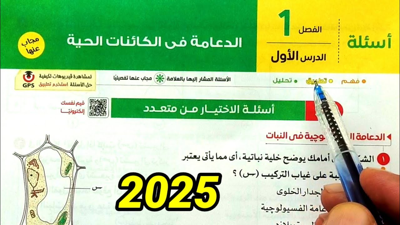 حل أسئلة الدعامة في النبات احياء ثالثة ثانوى 2025
