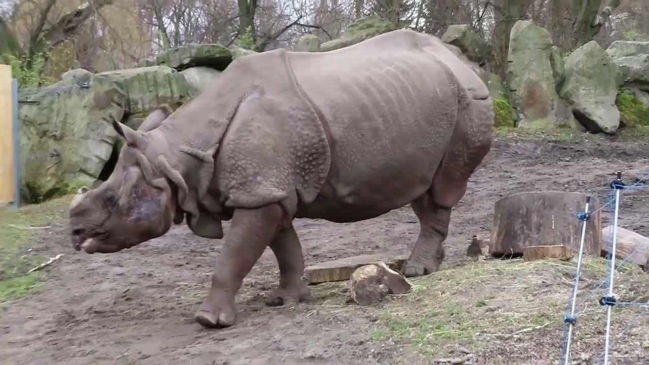 ZOO Warszawa