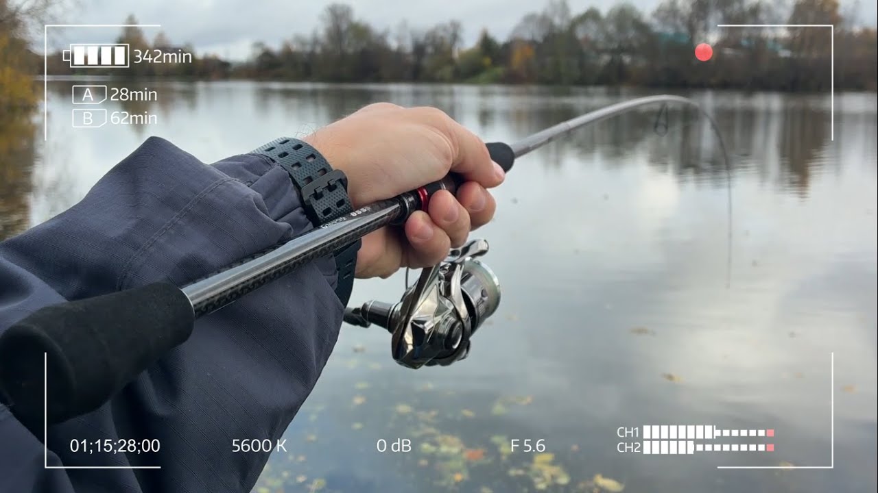 НЕ ОБЗОР Graphiteleader 24 Finezza Prototype 24GFINPS 782LML-HS