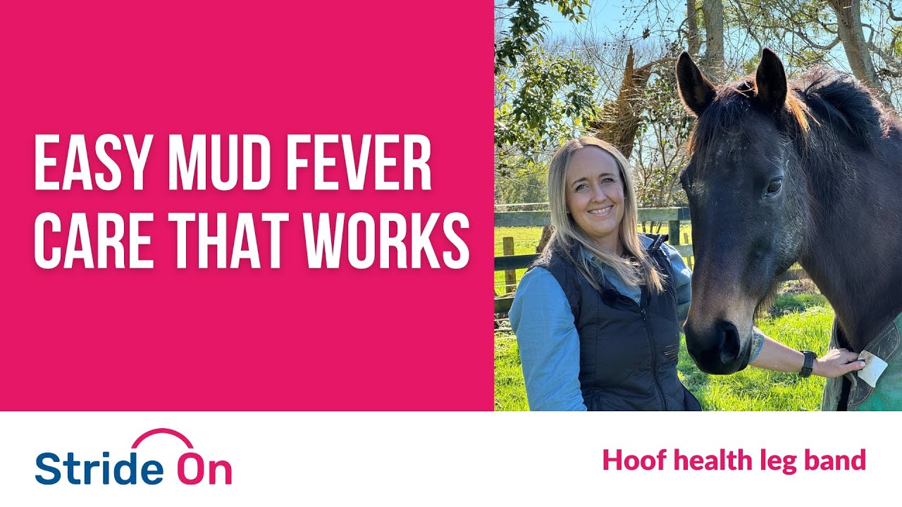 Easy Mud Fever Care That Works: Lucy Laxon’s Experience with Stride-On™