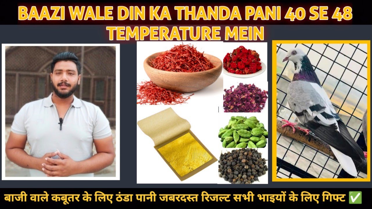 BAAZI WALE DIN KA THANDA PANI 40 SE 48 TEMPERATURE MEIN 100%RESULT🌡️✅ ||