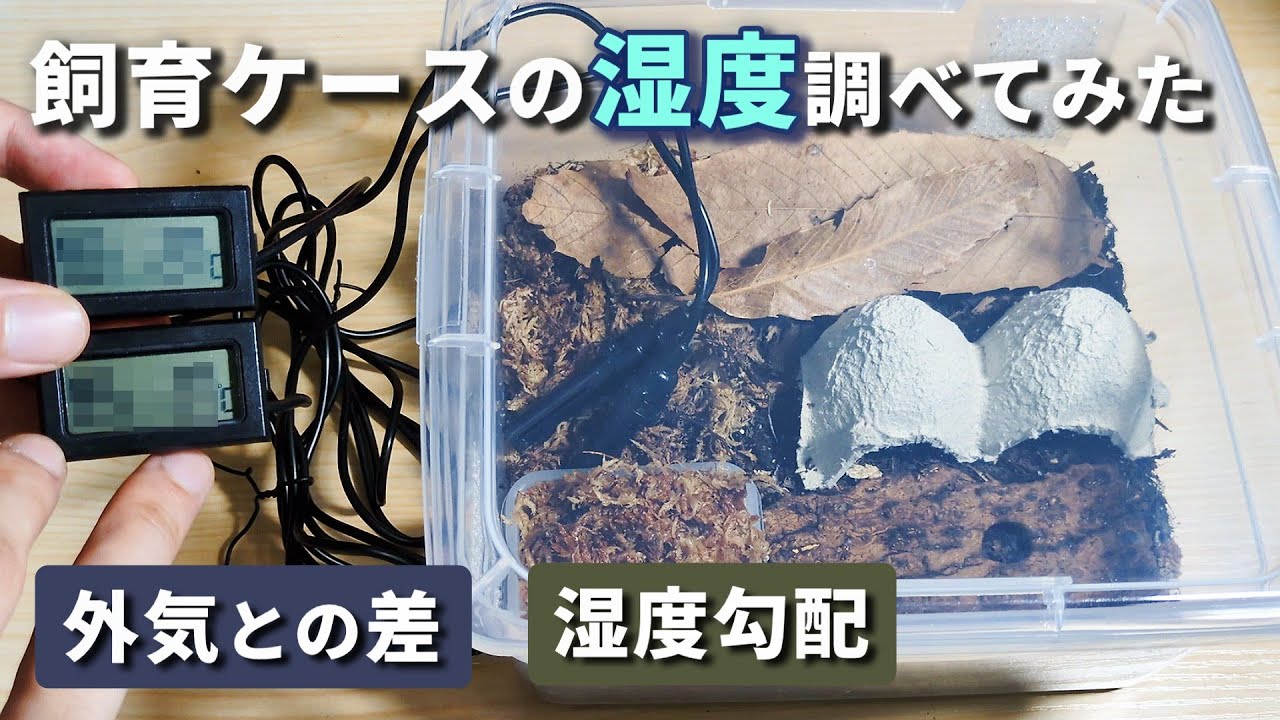 【ワラダン】飼育者必見！ケース内の湿度はこう変わっています【検証】【ダンゴムシ】