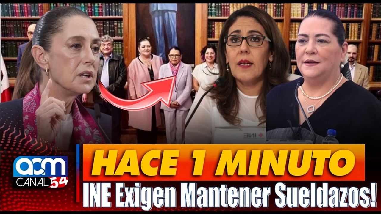 INE SE RESISTE AL RECORTE PRESUPUESTAL, DFIENDEN SUELDAZOS DE PRIVILEGIO!