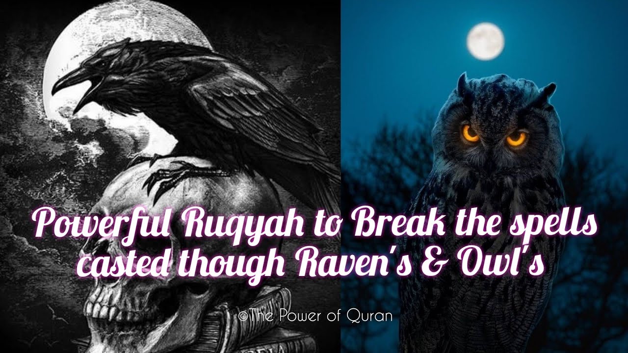 Very Powerful Ruqyah to Break the Strongest Black Magic & Spells done though Raven's(Crows) & Owls
