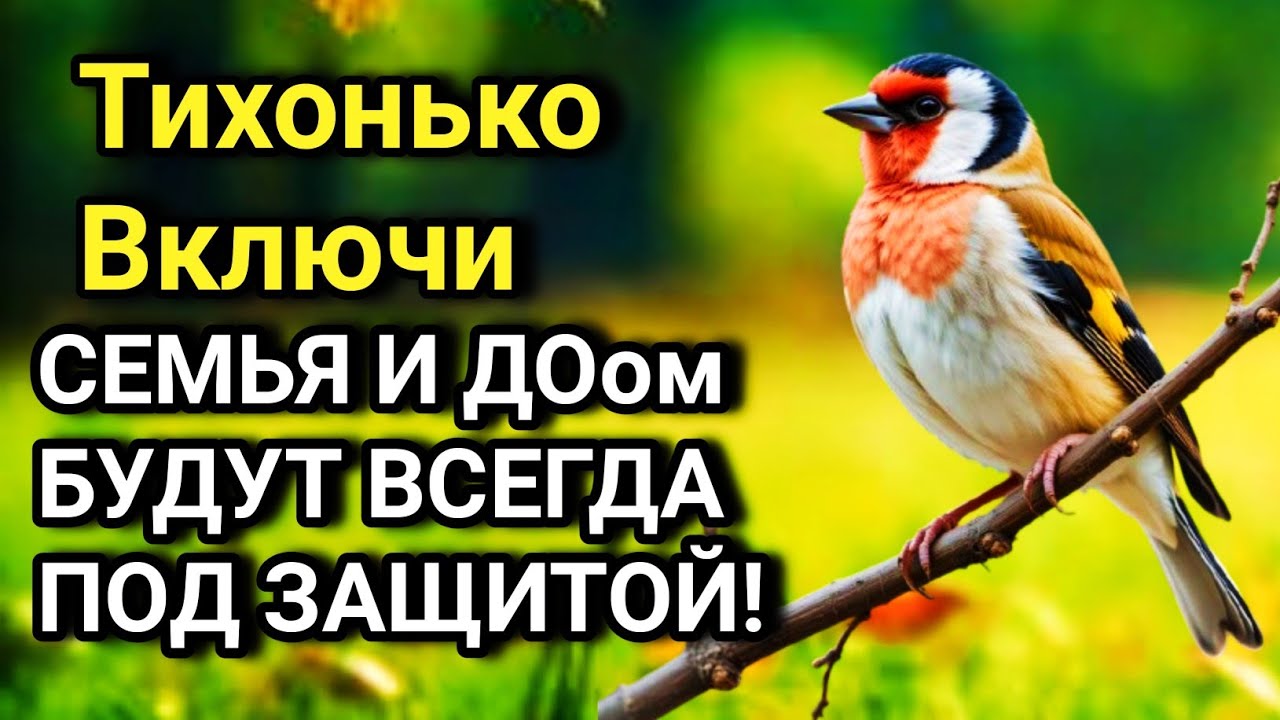 💖⚡ ВКЛЮЧИ И НЕ КОСНЁТСЯ БЕДА РОДНЫХ И ДОМА дуа Всевышнему Аллаху 🤲💯