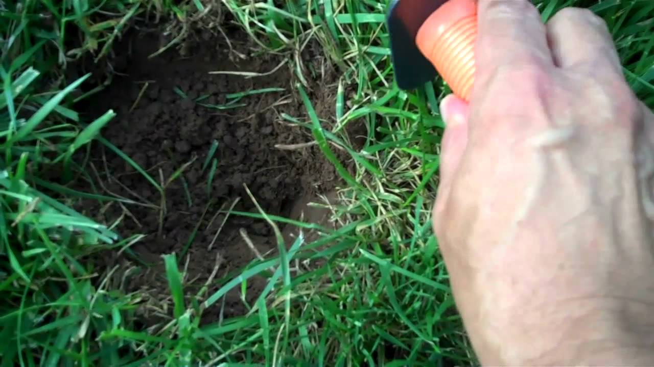 Minelab Sovereign GT Hits on Dimes - '53Silver