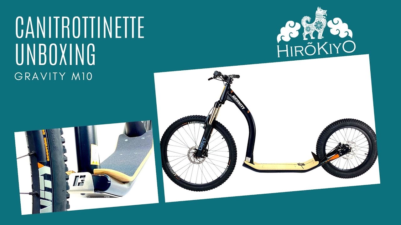 Canitrottinette Gravity M10 : Unboxing par Canemvictoria