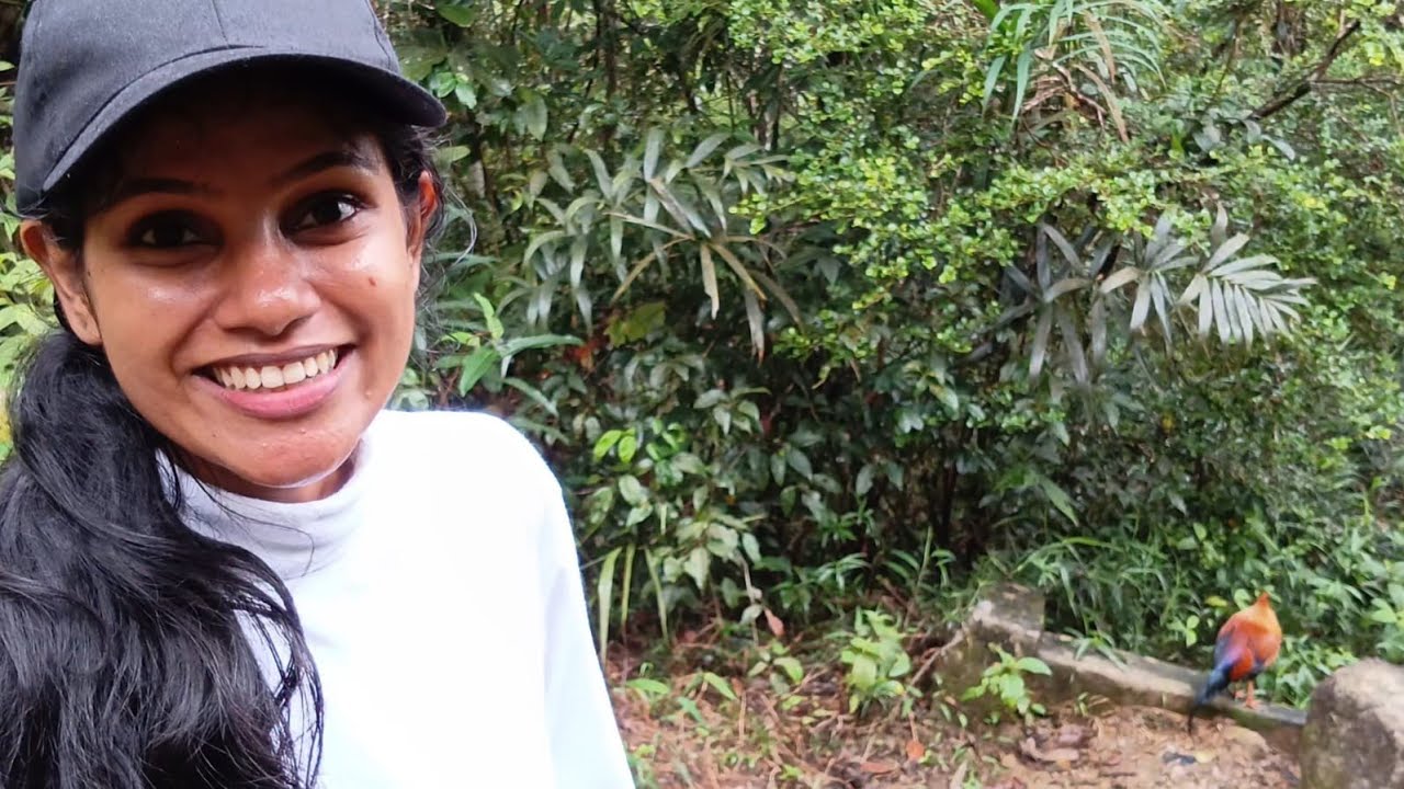 එන්න අපි එරත්නෙන් සිරිපා කරුණා කරමු