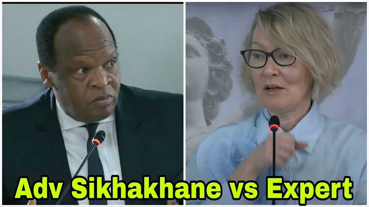 Adv Sikhakhane Cross examining Lisa Vetten GBV Expert.