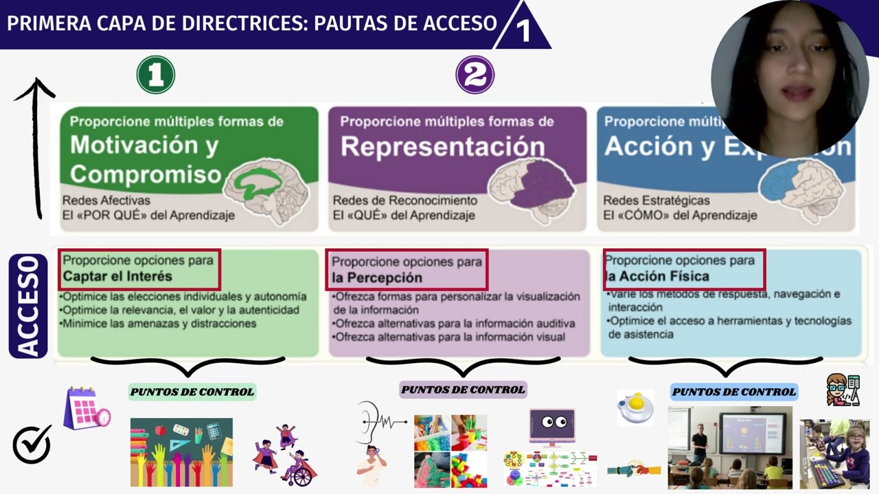 Diseño Universal para el Aprendizaje (DUA)_ Redes cerebrales, principios, pautas, puntos de control.