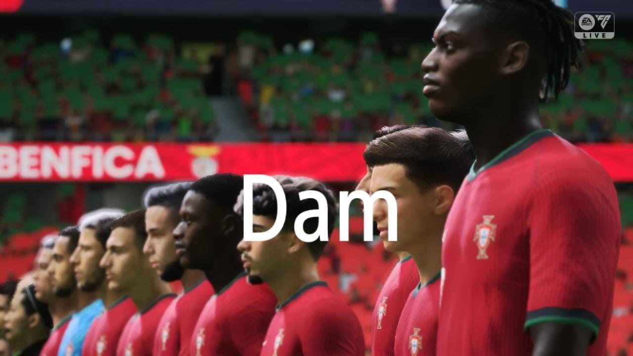 Portugal v Argentina final