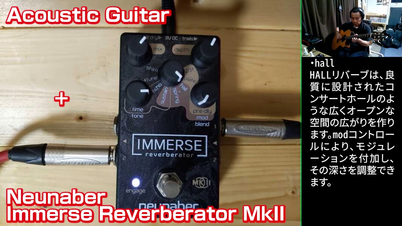 【エフェクター】Neunaber Immerse Reverberator MkII+Acoustic Guitar