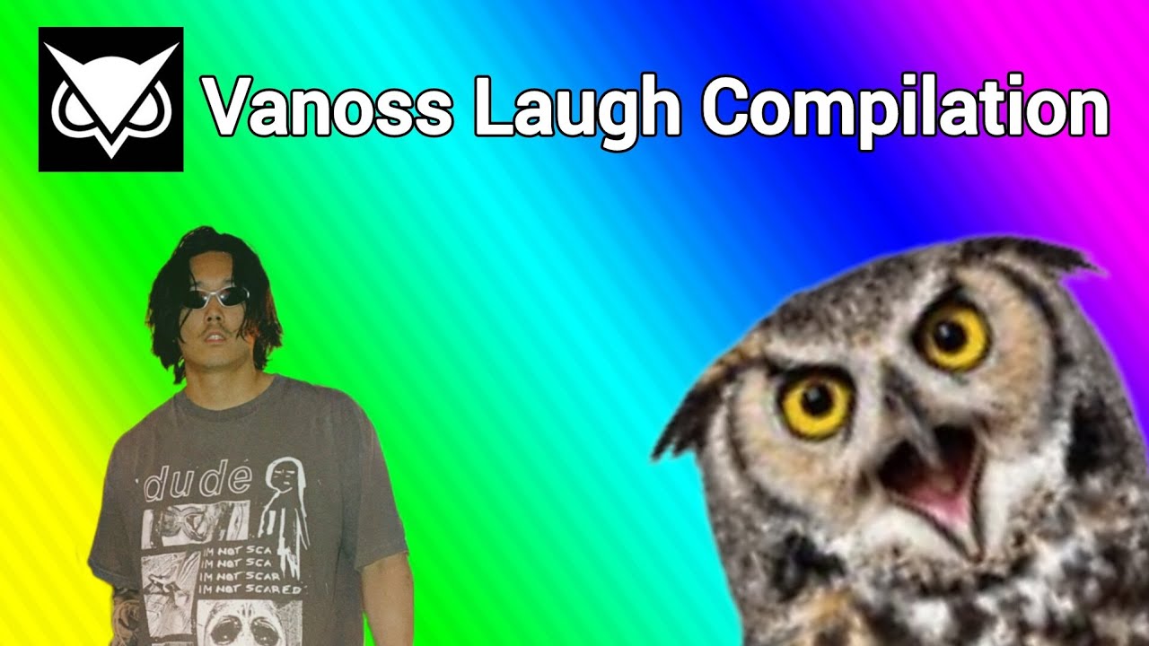 Vanossgaming making owl noises for 5 minutes ( Vanoss laugh Compilation )