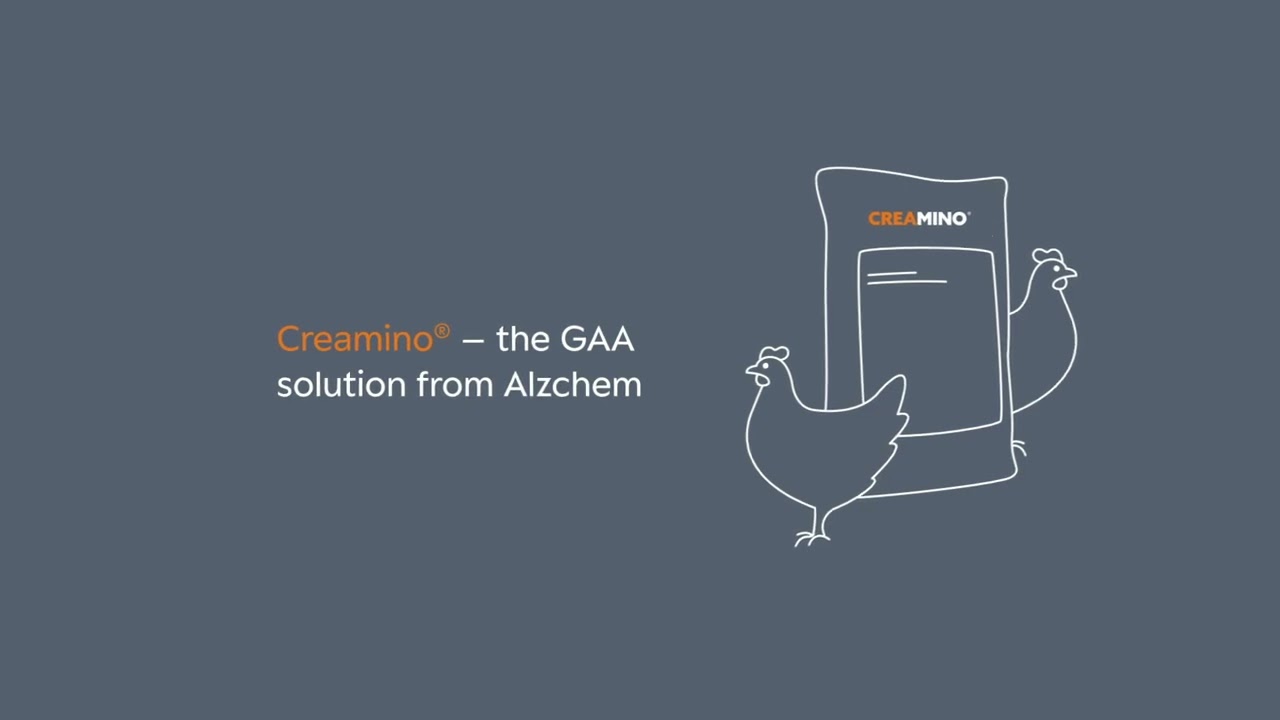 Creamino&reg; &ndash; Power up your feed to optimize animal performance
