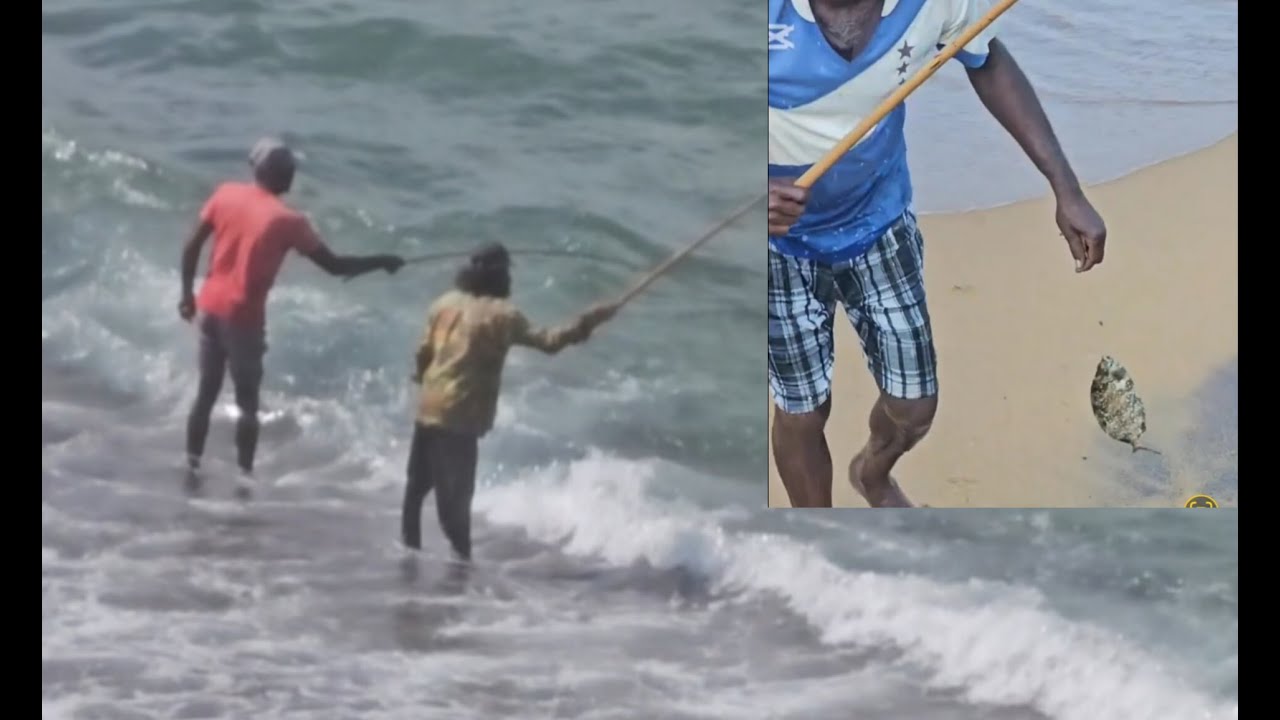 Fishermen Both Get Lucky🐟