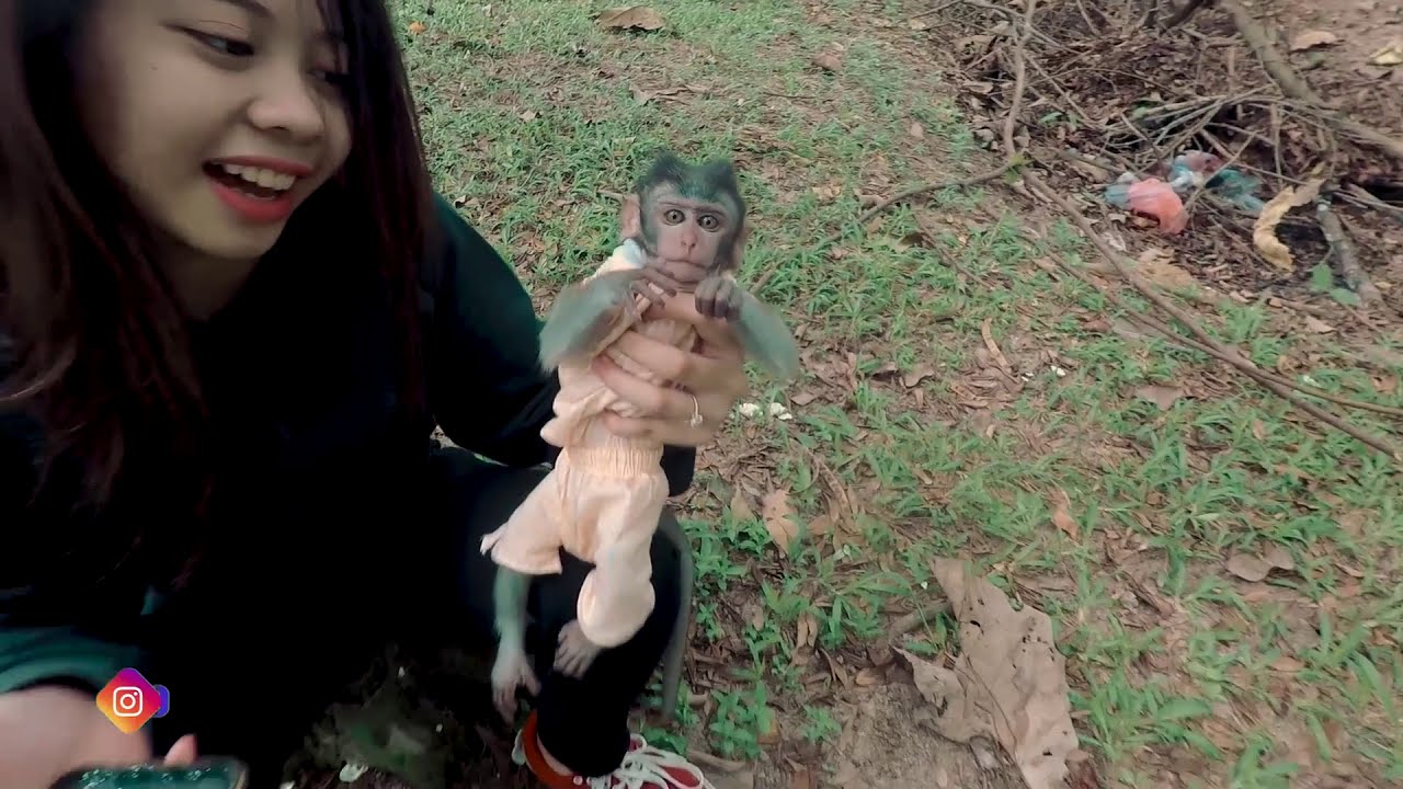 monyet Lucu banget jawab pas di tanya !!! Bermain bersama monyet di hutan kota