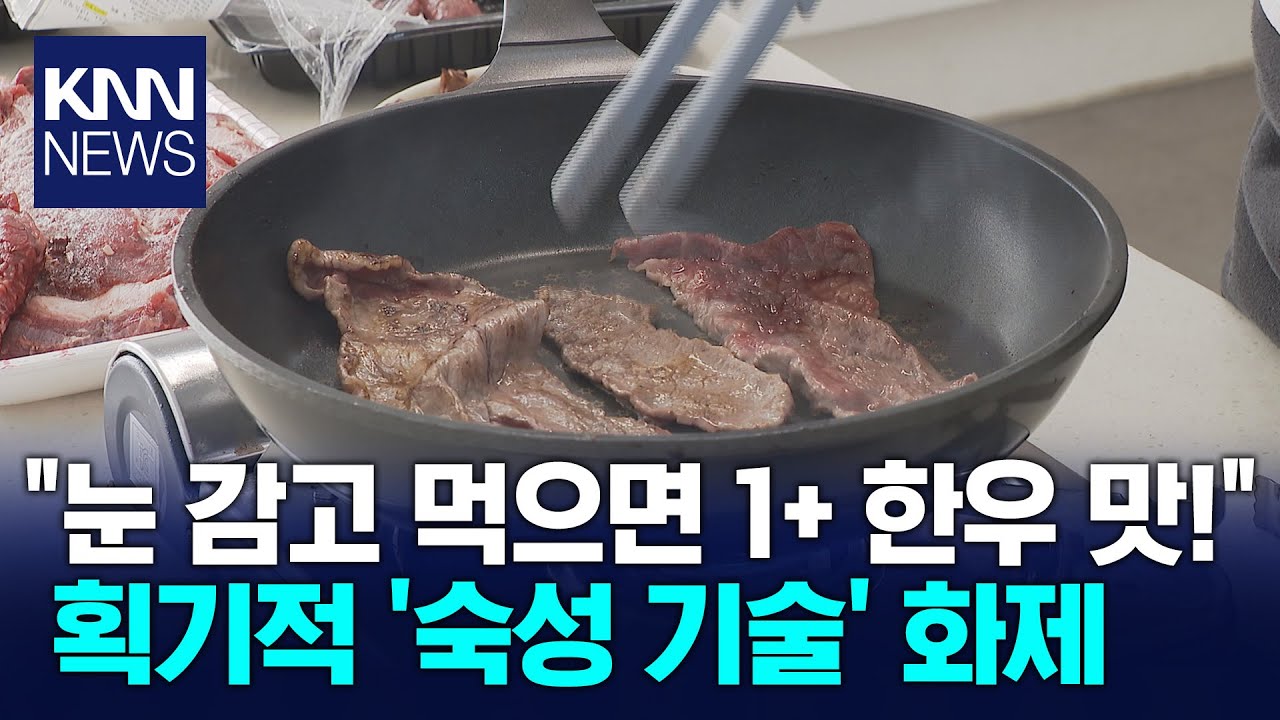 [렛츠코 라이콘] '질긴 부위를 부드럽게' 숙성 기술 개발 / KNN