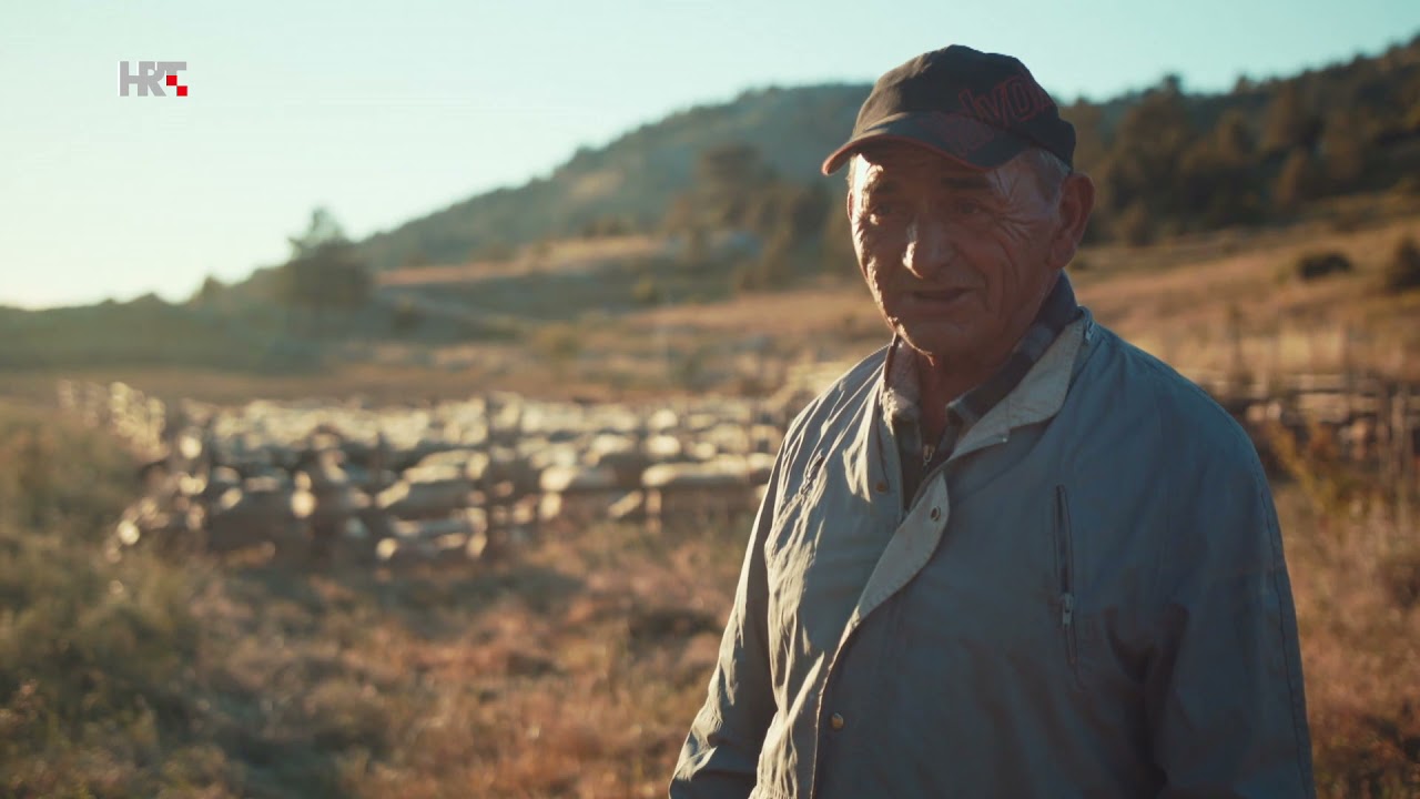 ZANIMANJE- PASTIR