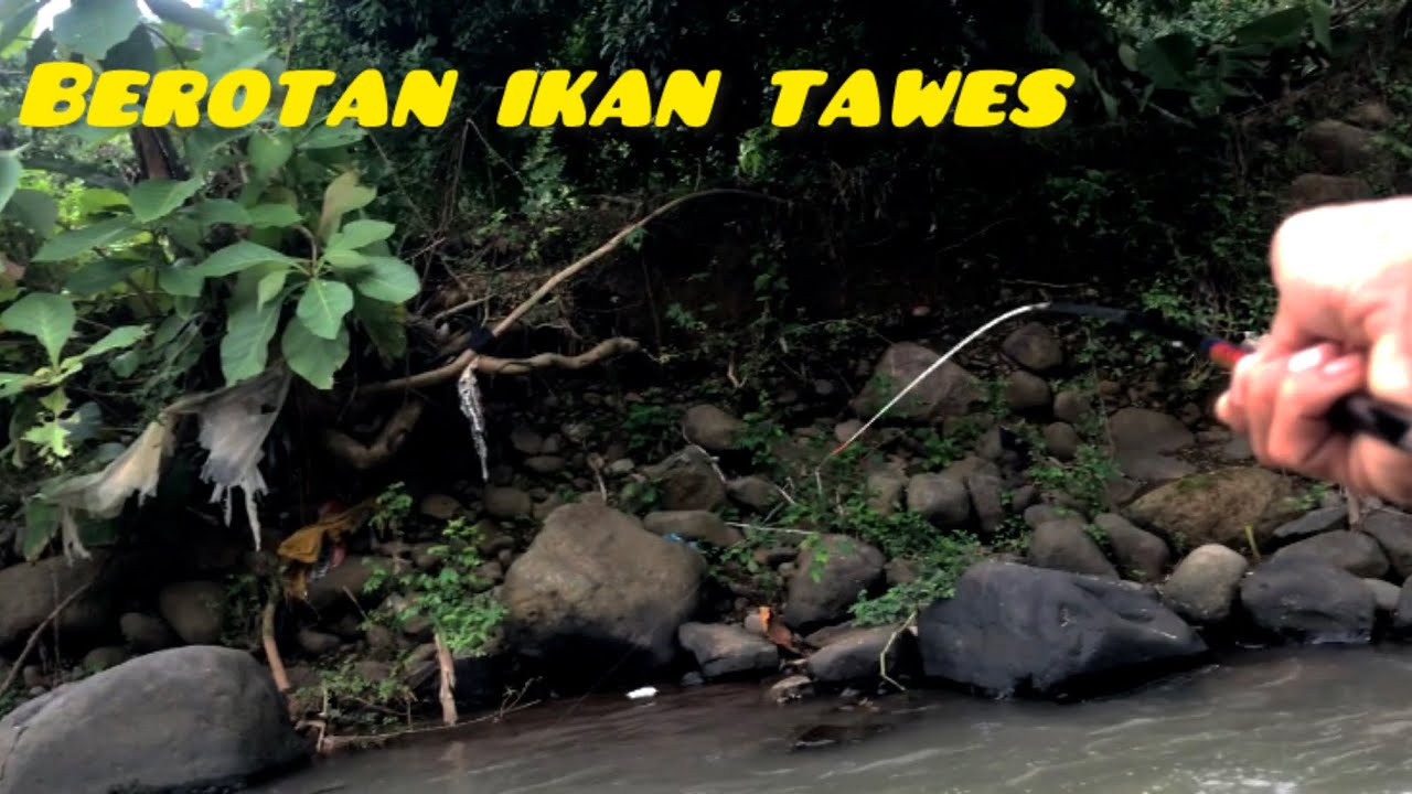 Di spot ini memang berkumpulnya para ikan !!! ,