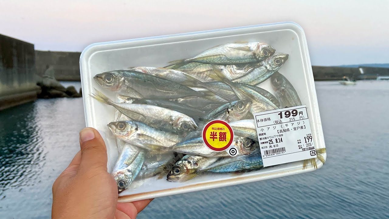 エサは激安アジ