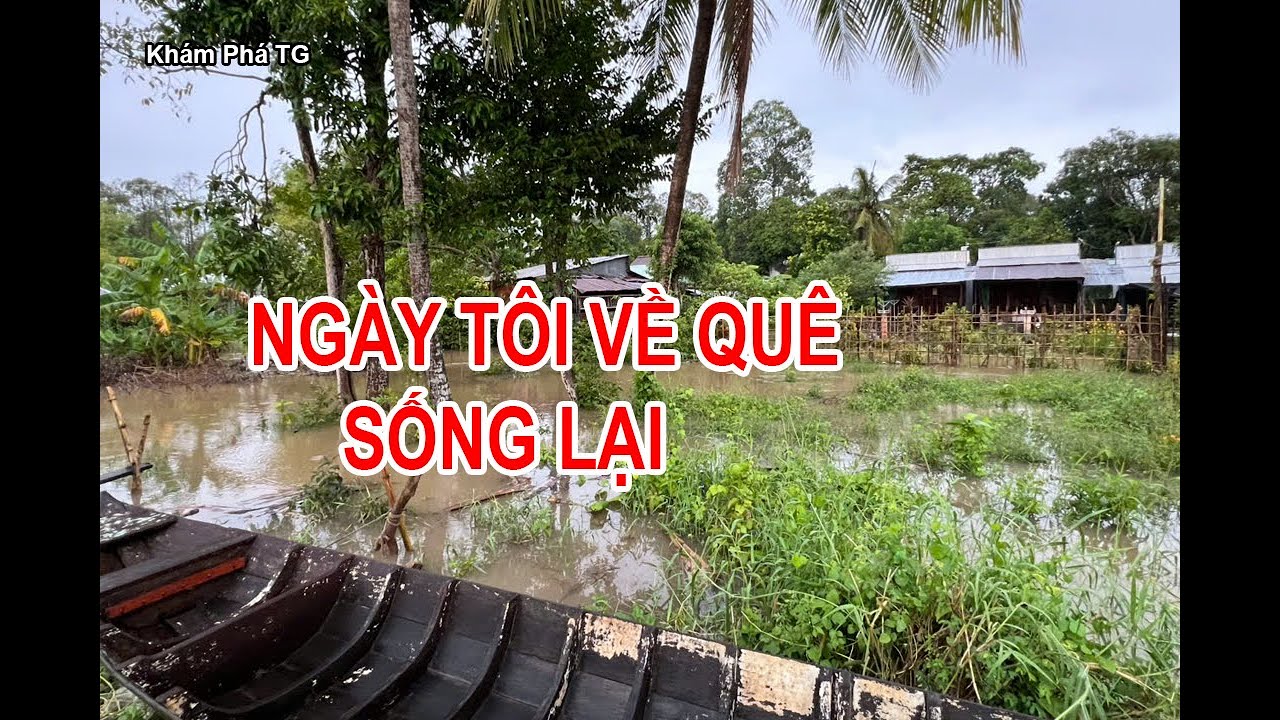 NGÀY TÔI VỀ QUÊ SỐNG LẠI....TÔI THẤY LÒNG MÌNH THANH THẢN HƠN RẤT NHIỀU