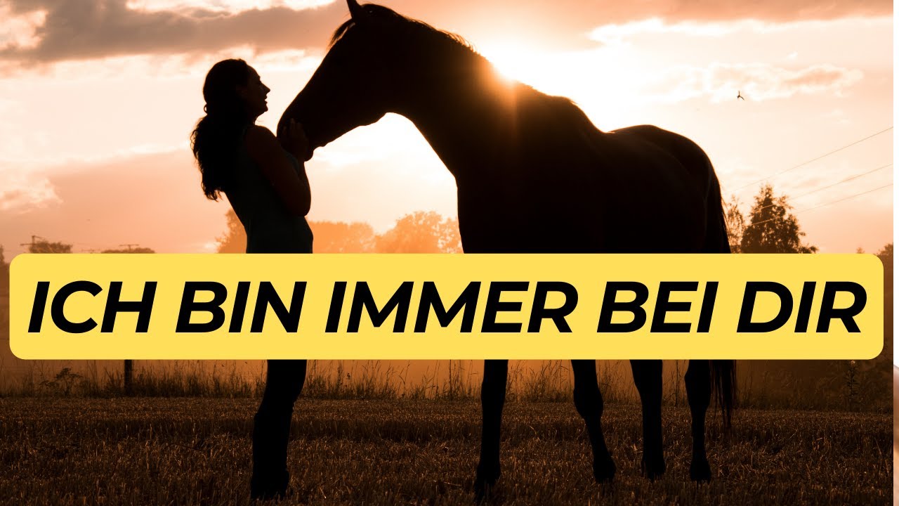 6 ungewöhnliche ZEICHEN, dass dein HAUSTIER dich aus dem JENSEITS besucht