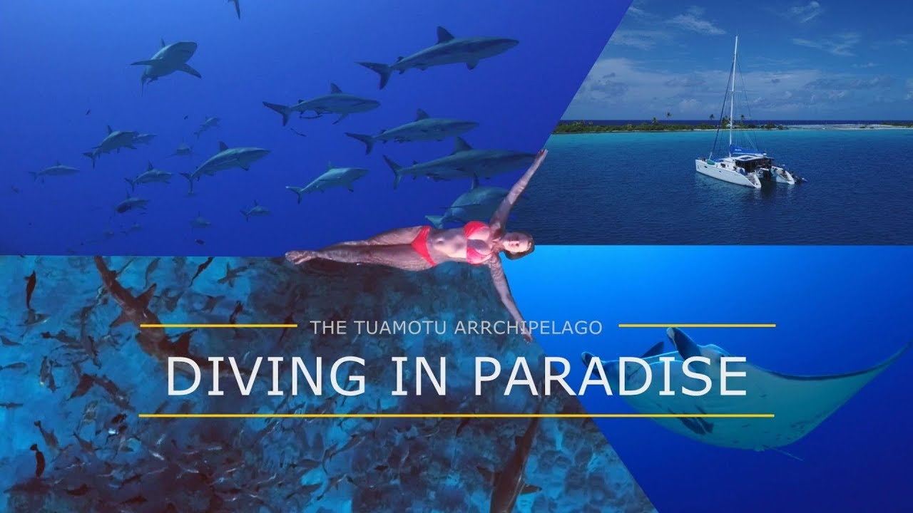 The Tuamotu Archipelago &ndash; diving in paradise! on tour mit Peter L&ouml;seke