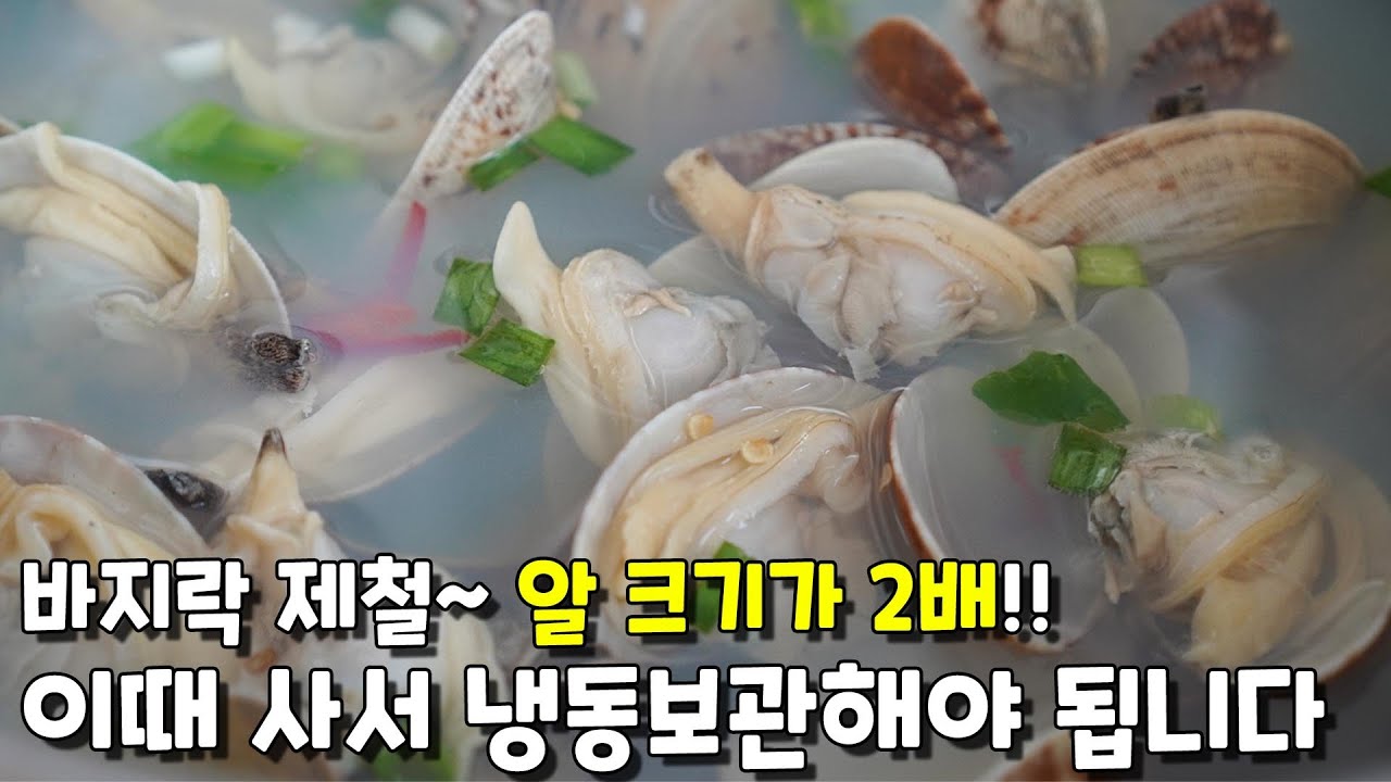 [바지락탕] 조개해감 후 냉동보관법. 봄제철때 대량 사서 냉동보관하세요 구독자님 부탁으로 자갈치어패류도매 번호공유 &diams;️010 4344 7134&diams;️ (영상뒤에 핵심 나옴)
