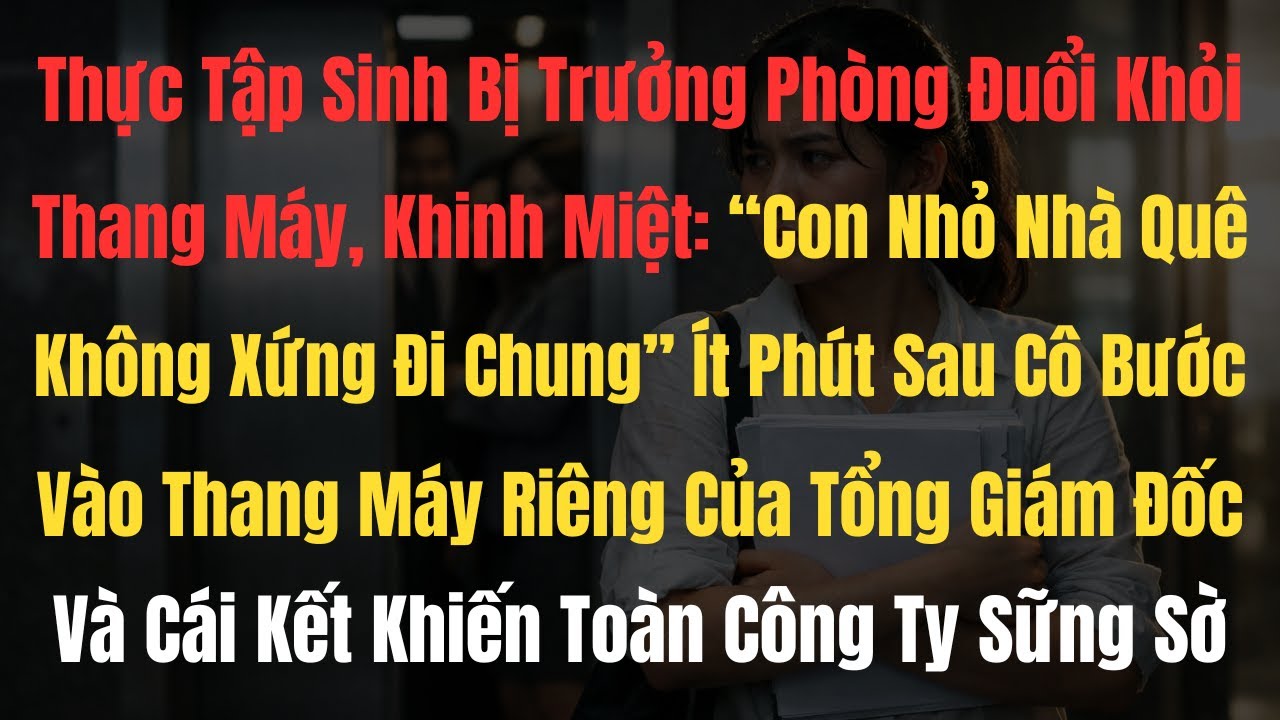 Thực Tập Sinh Bị Chèn Ép Công Khai – Cú Lật Ngược Số Phận Không Ai Ngờ Tới