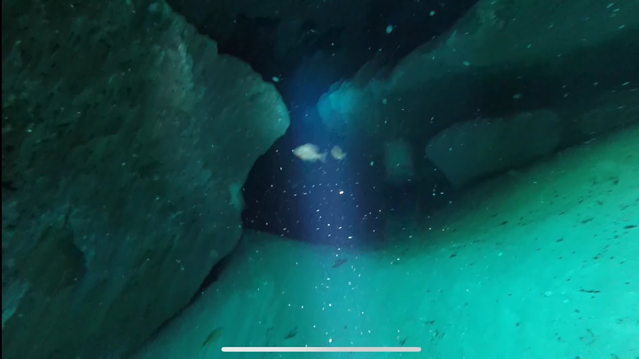 Free-diving Morrison Springs deep caverns