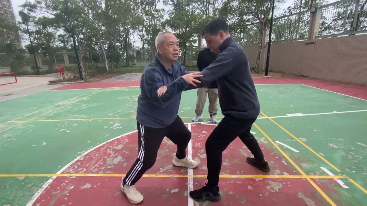 太極自由推手訓練 Tai Chi Free Pushing Hands Training 2026年2月8日