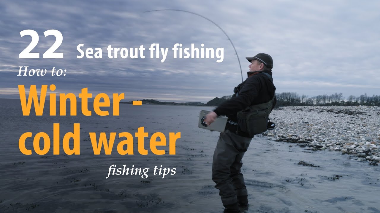 How to • Sea trout - Fly fishing • Winter - cold water • fishing tips