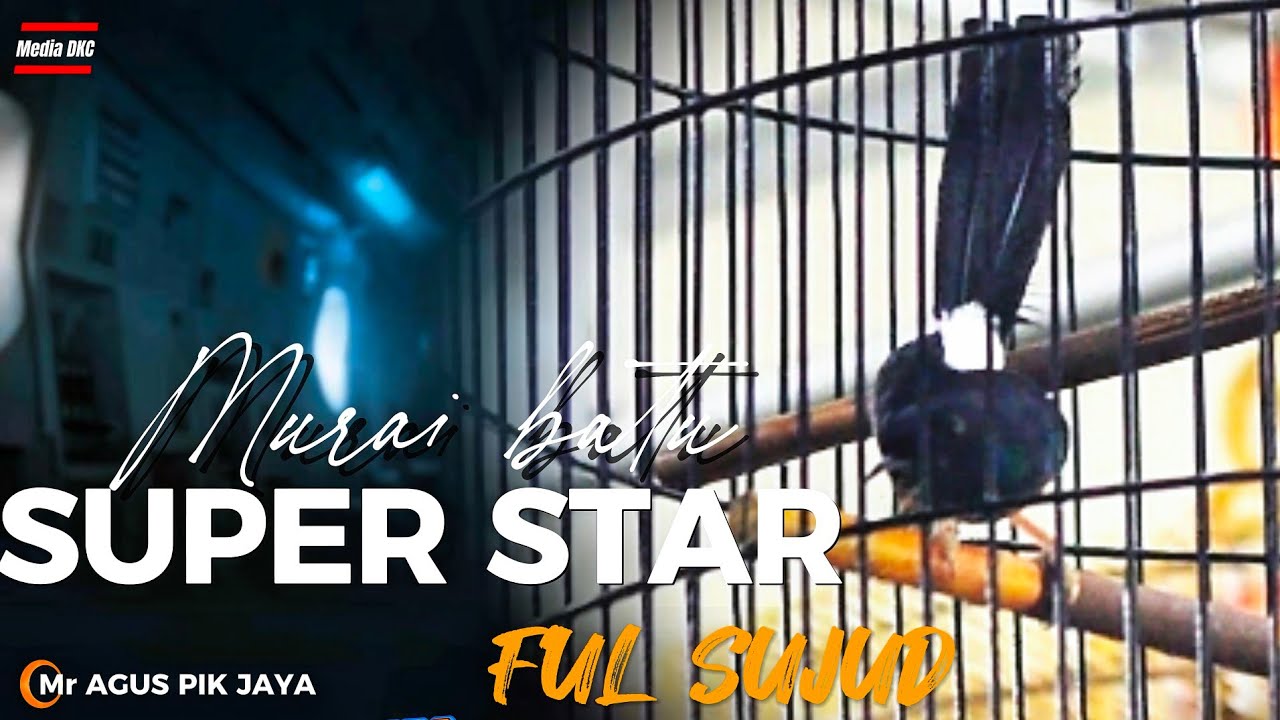 FULL SUJUD NEKEN LAWAN‼️MB SUPER STAR AMUNISI AGUS PIK JAYA TAMPIL APIK