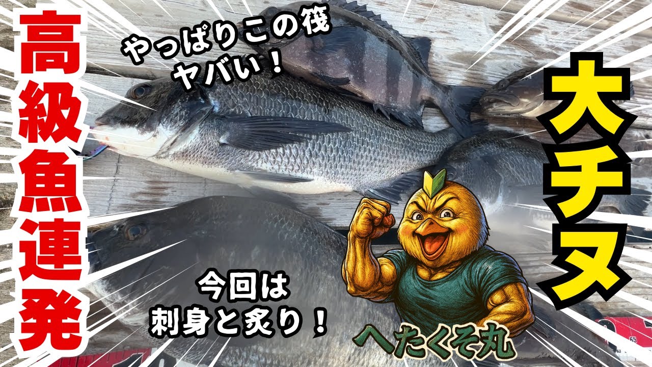 【ダゴチン】やっぱりこの陸から30秒で行けるこの筏がやばい！