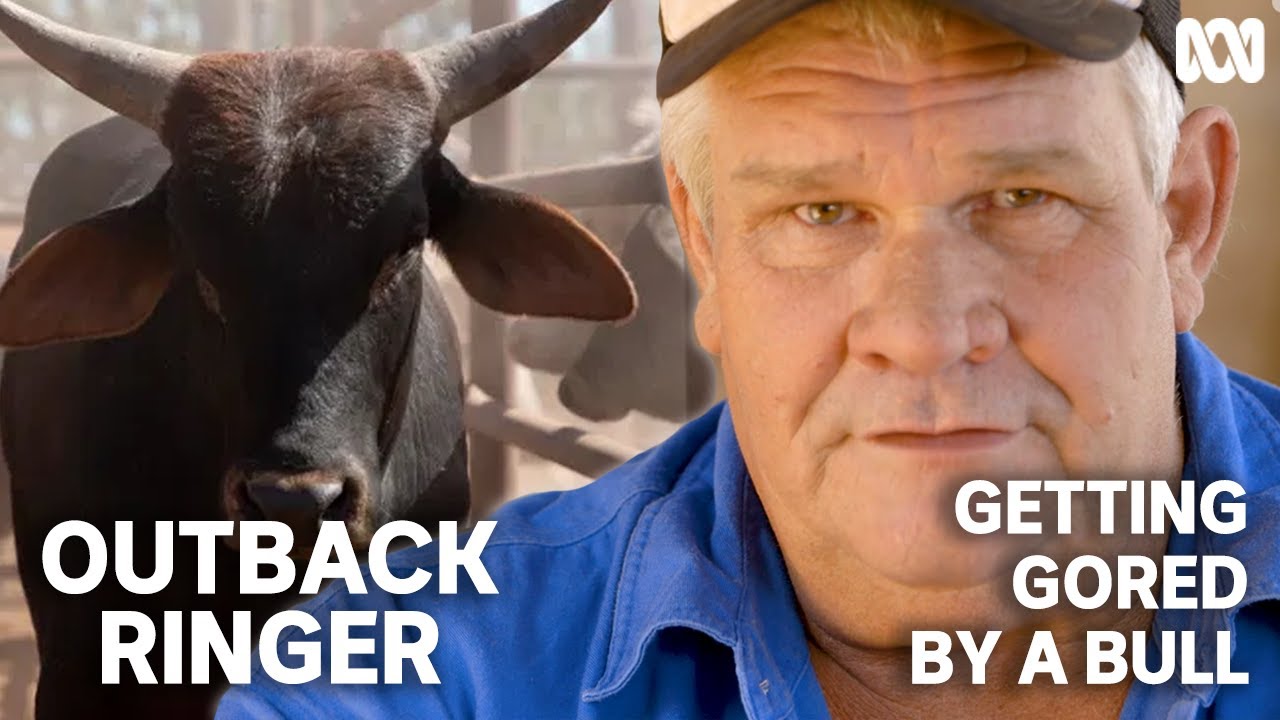 Kurt talks about being gored by a bull in the outback | Outback Ringer