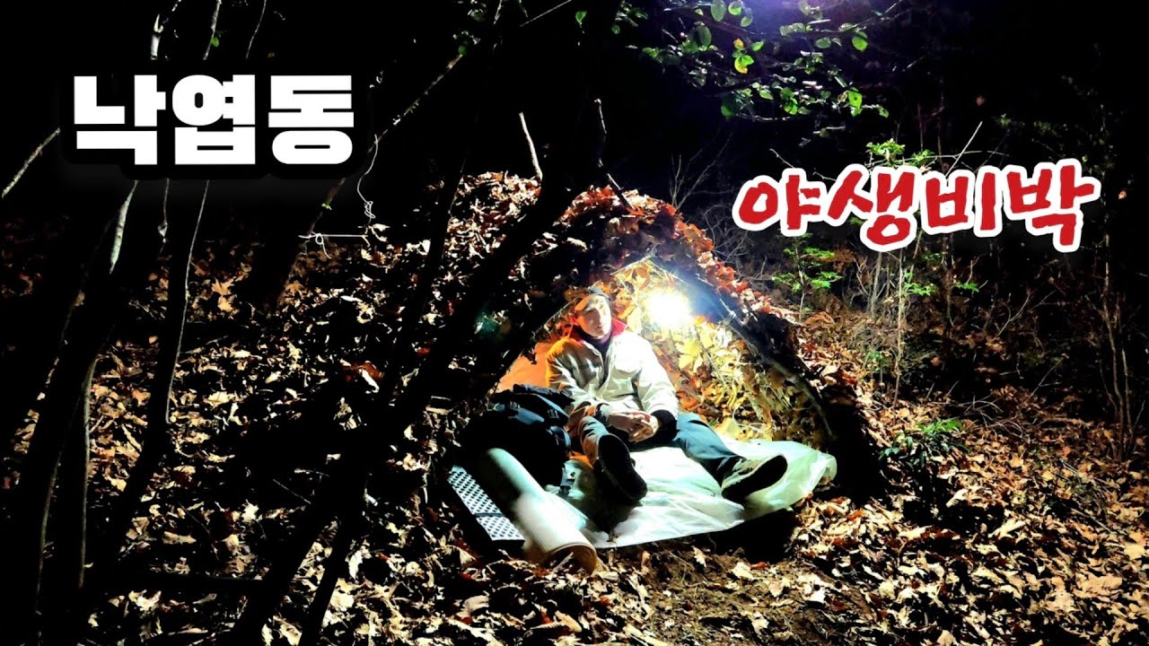 추운겨울 산속에서 낙엽속에서 텐트없이 썩은 나무와 낙엽으로 낙엽동 만들고 라면먹방 동계 비박 캠핑 백패킹 부쉬크래프트 