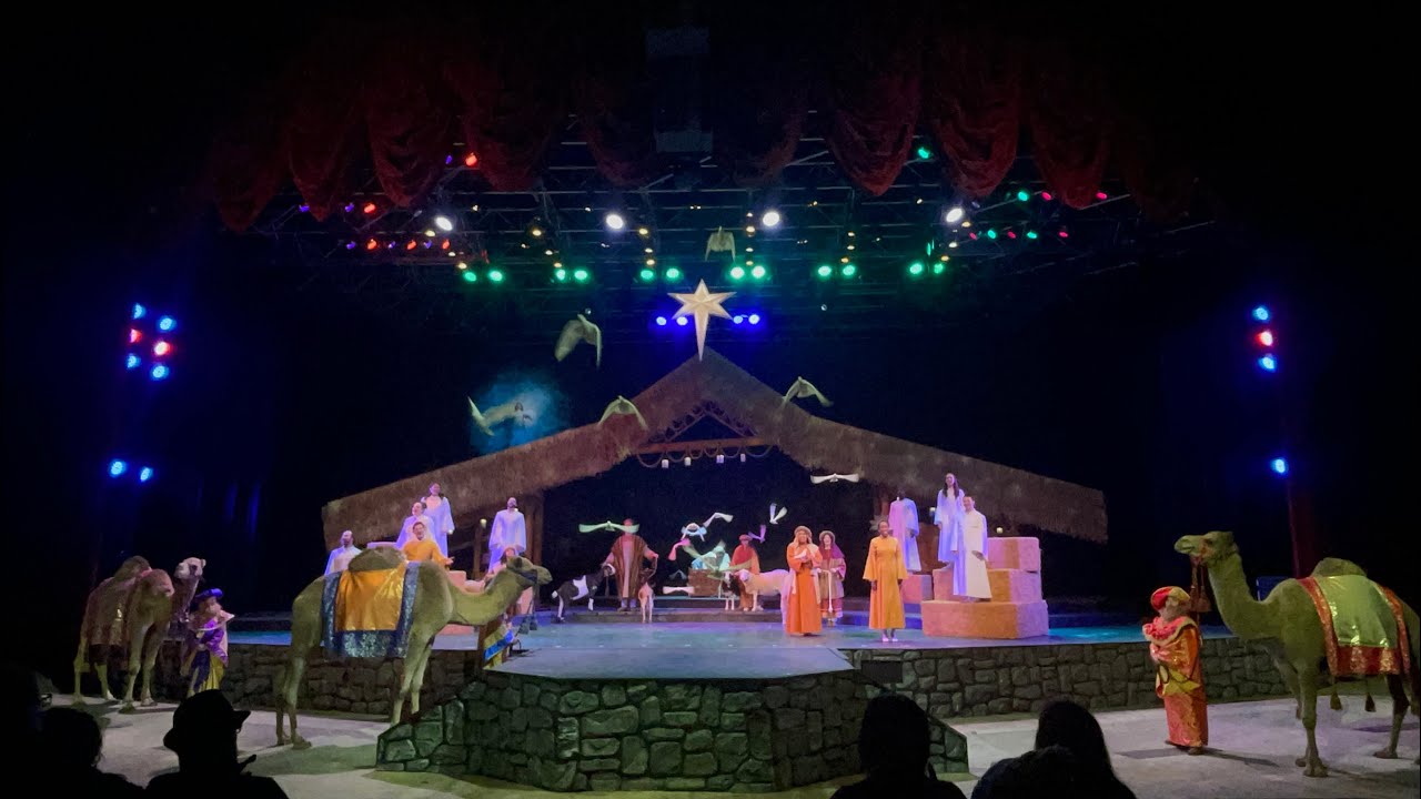 SWSA - O’Wondrous Night 2023