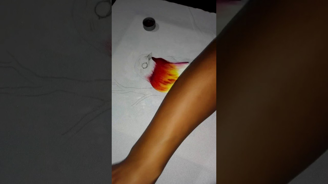 PINTURA EN TELA TECNICAS BASICAS