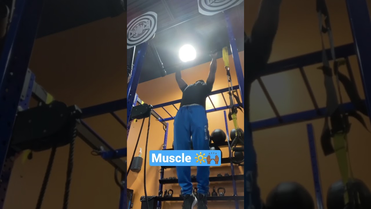 Elevate to Muscle heaven! 