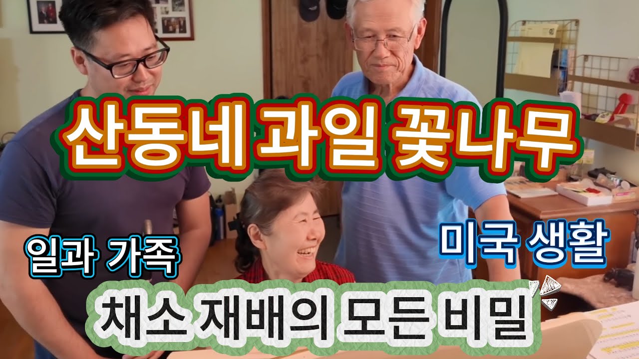 채소 재배의 모든 것 (비료의 3요소) - 미국 산동네 과일 꽃나무 가족
