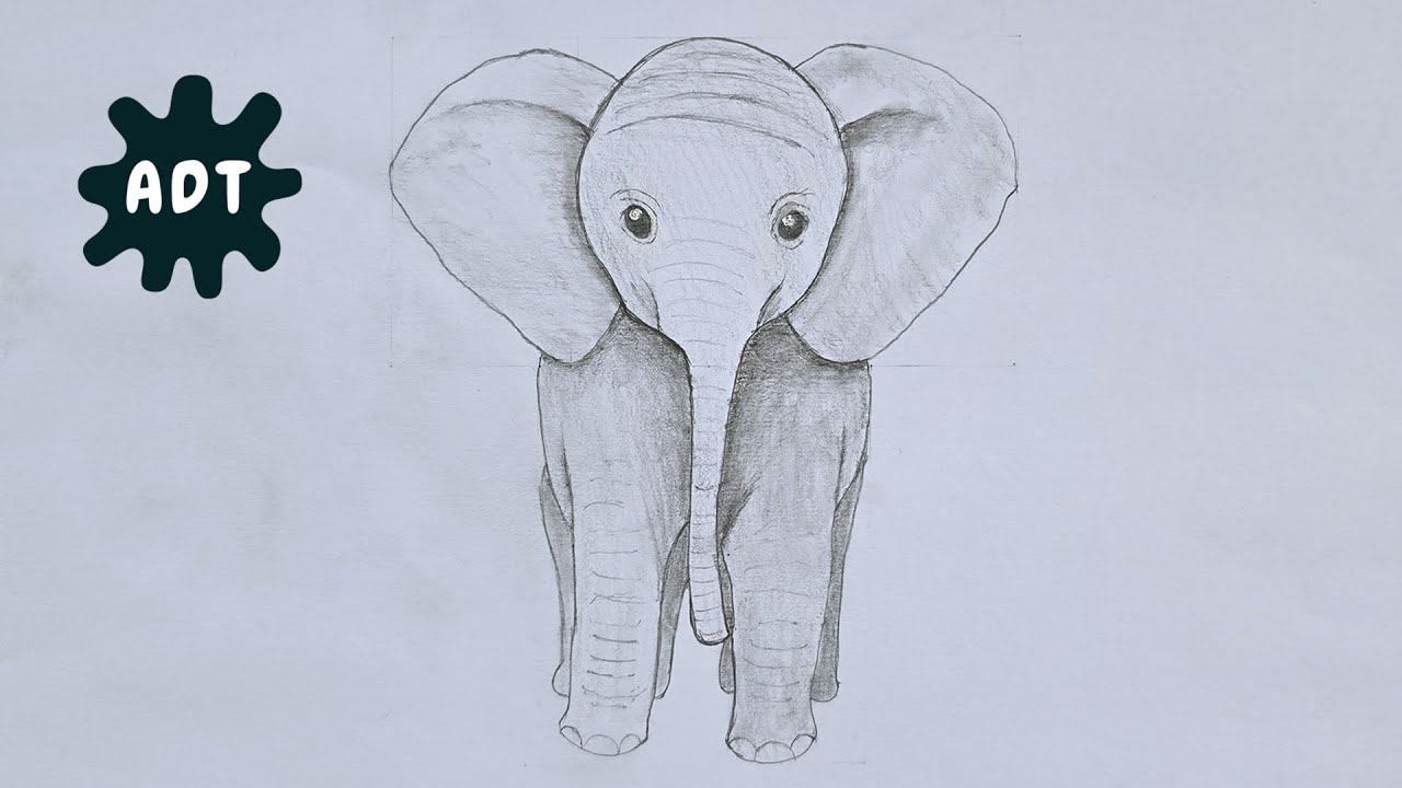 How to Draw an Elephant Step by Step | Easy Pencil Sketch Tutorial