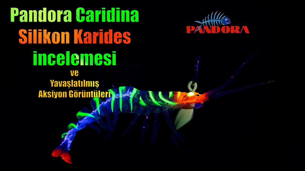 Pandora Silikon Karides Yem İncelemesi ve Su İçi Yavaslatılmış Aksiyon Görüntüleri