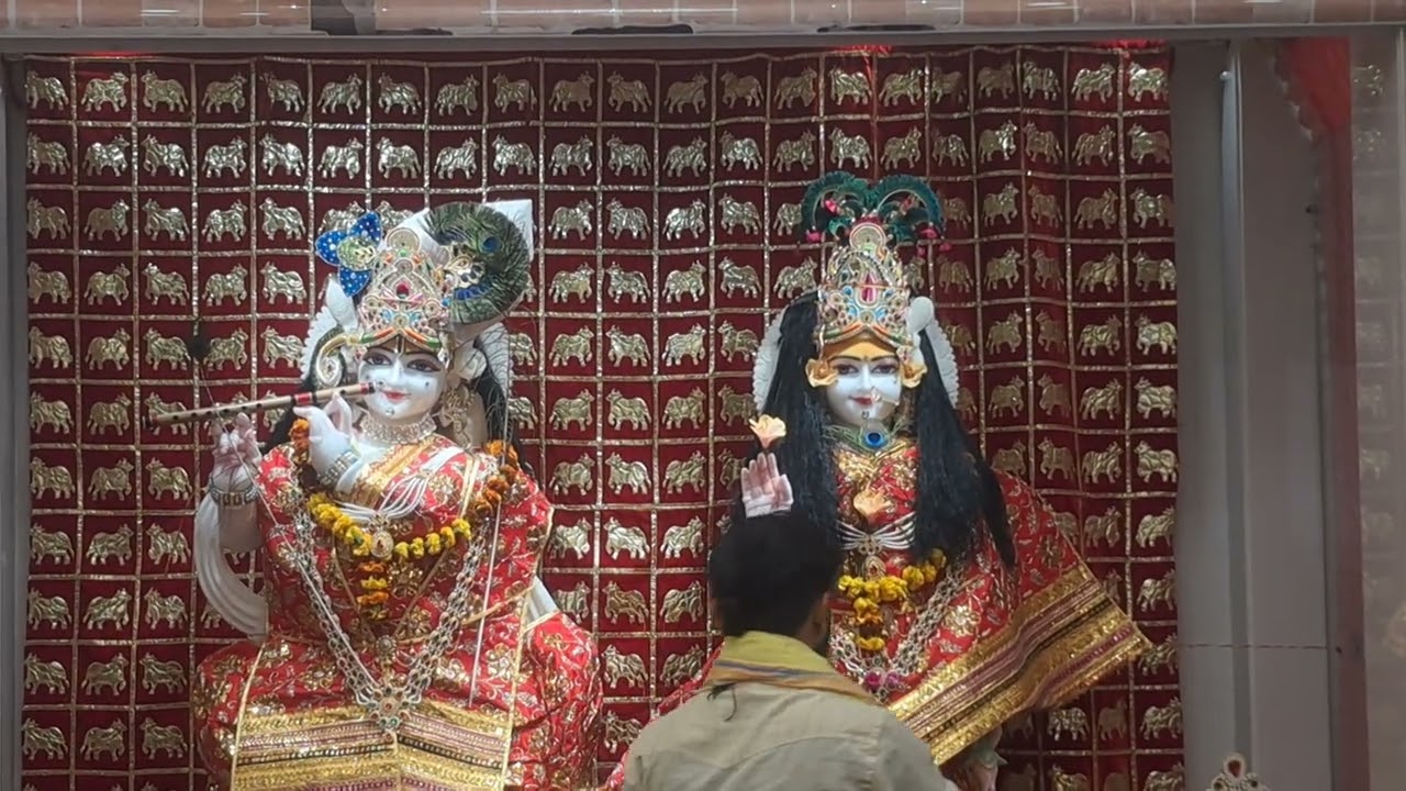 दिनांक 05/03/2026 के श्री राधाकृष्ण कृपा धाम के संध्या कालीन आरती के दर्शन 