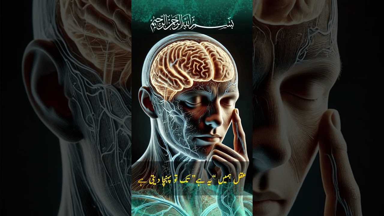 Beyond Logic: Why Intellect Alone Isn't Enough to Know God | #ishtiaqalwi